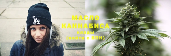 гашик Весьегонск