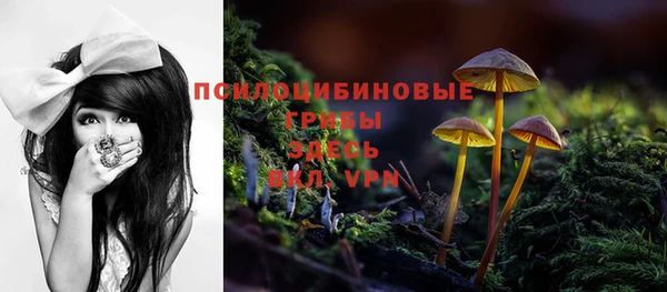 Альфа ПВП Дмитриев