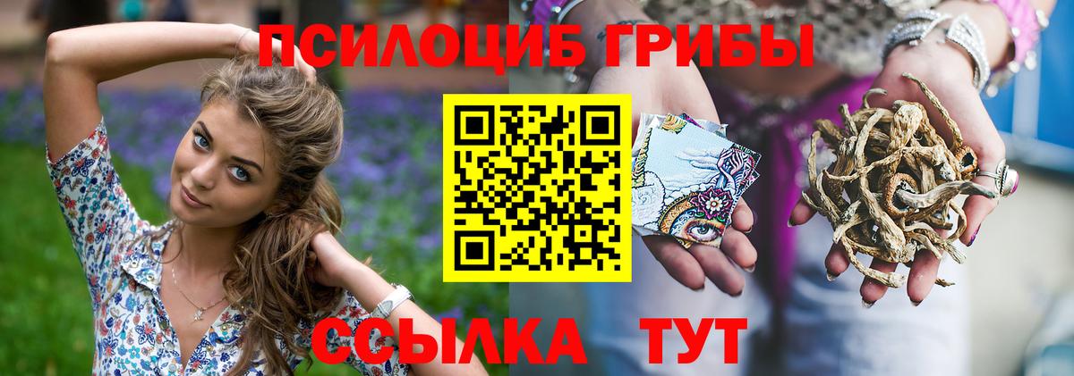 Псилоцибиновые грибы Psilocybe Донской